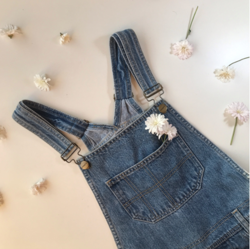 general pants nobody denim